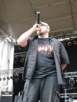 Highlight for Album: Dryrot
